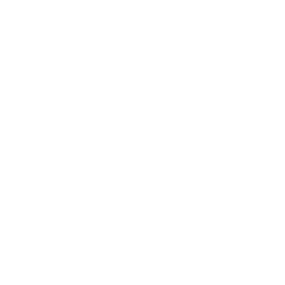 VINZI logo