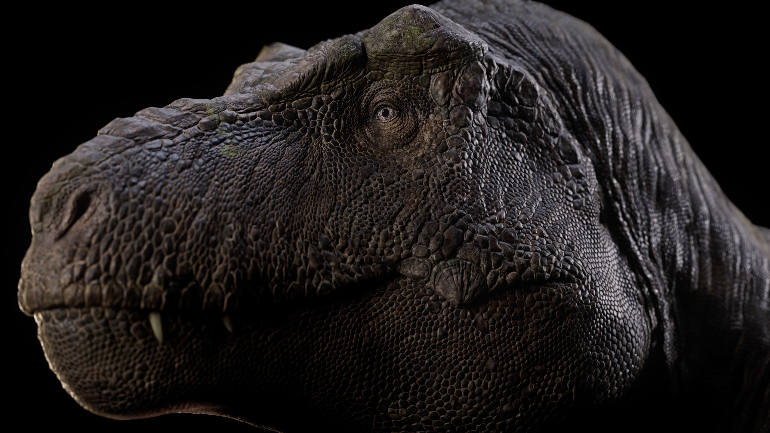 Atlux λ for Unreal Engine - Gaming